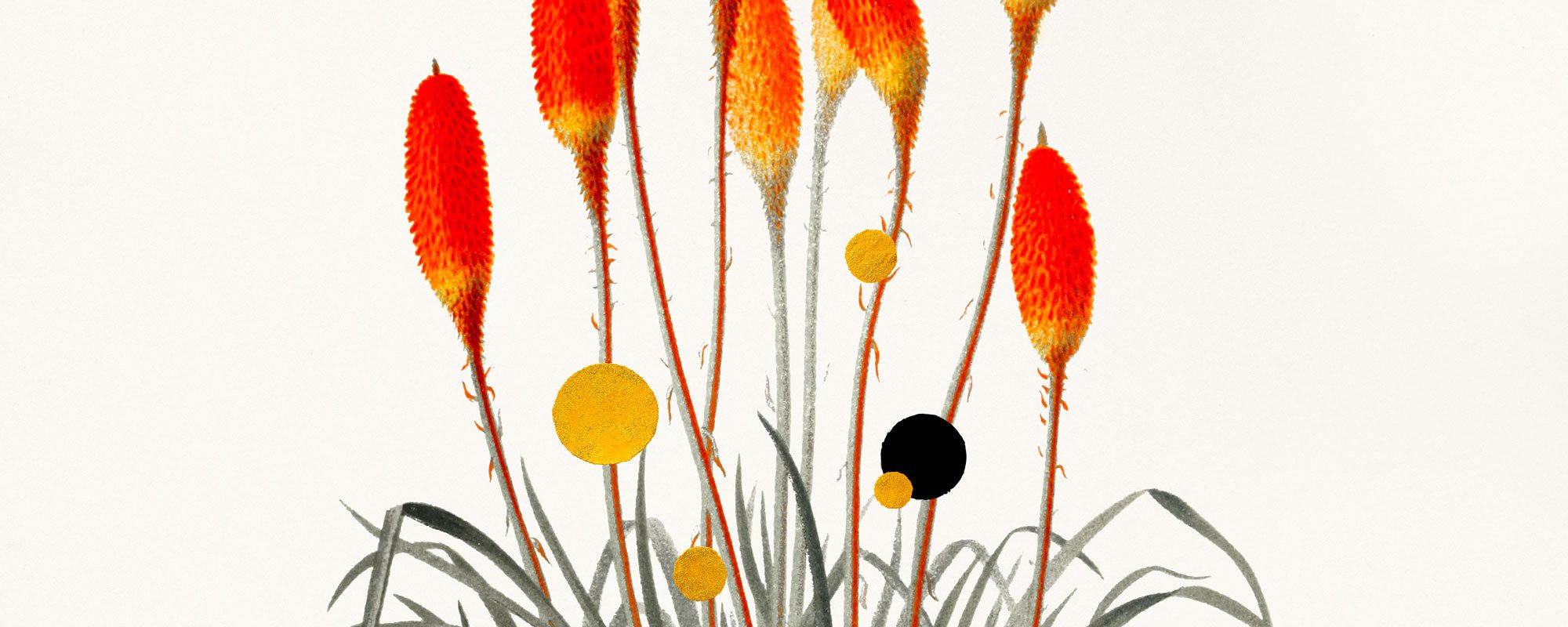 Sådan plejer du fine art prints korrekt