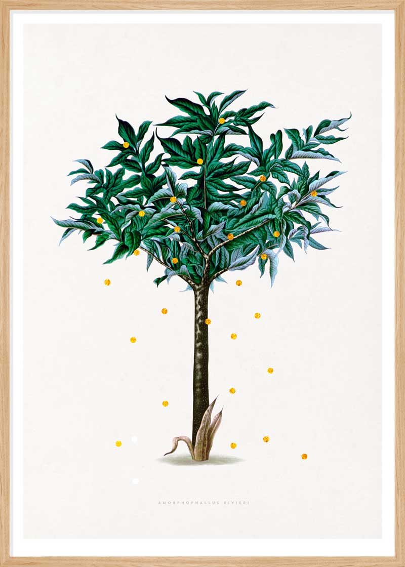 Gold Dots Stella Tree Paper