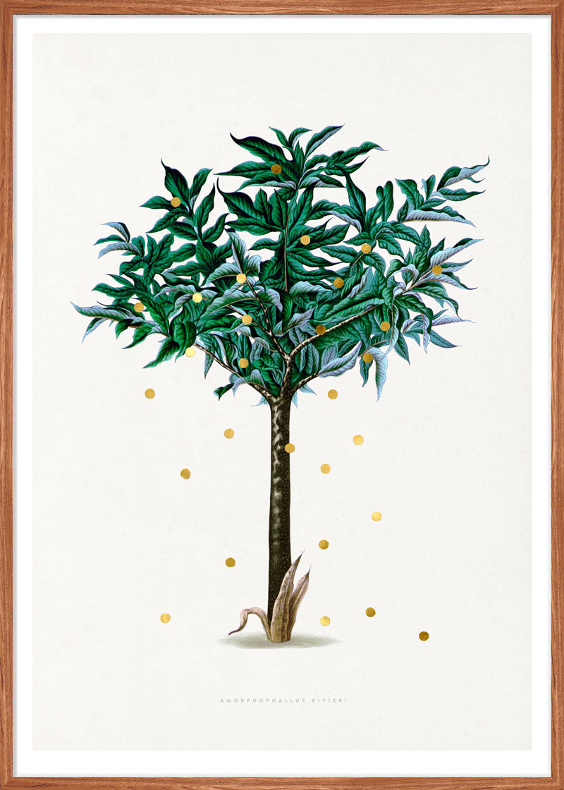 Gold Dots Stella Tree Paper