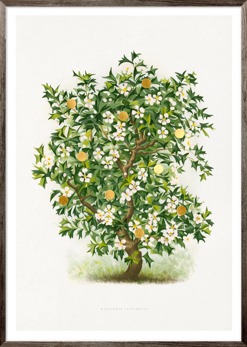 Gold Dots Holly Tree Paper