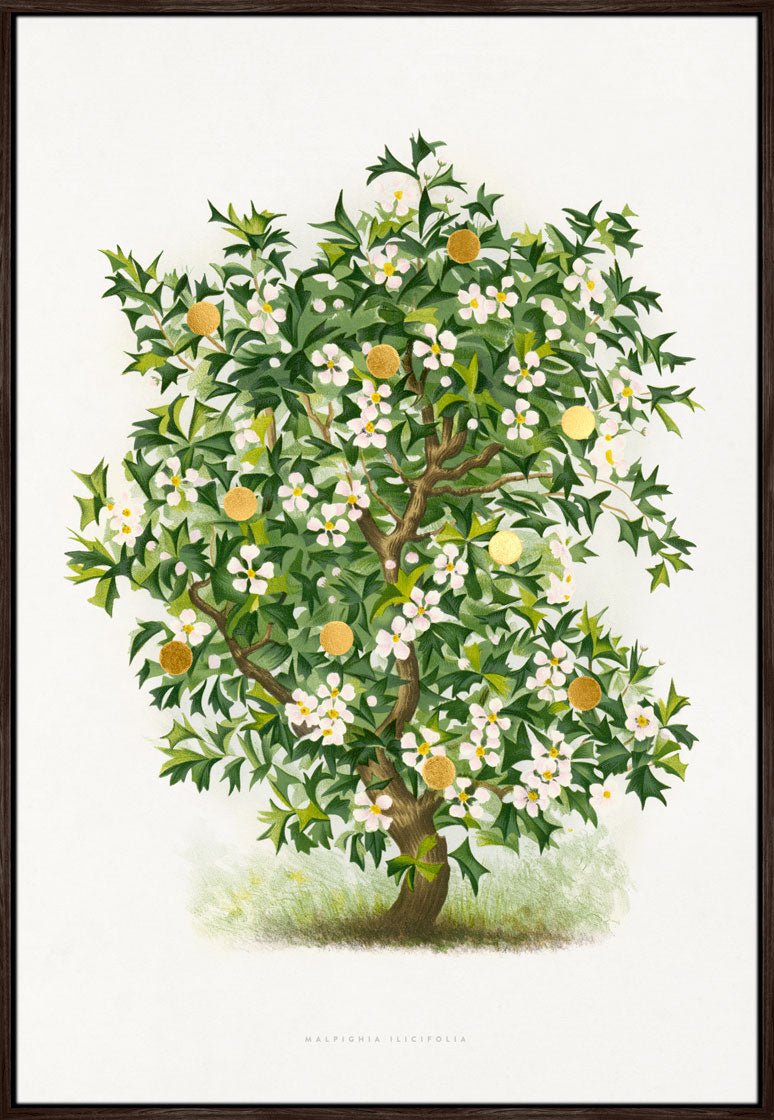 Gold Dots Holly Tree – Kunsttryk med 24K bladguld og håndforædlede detaljer. Indrammet i svæveramme