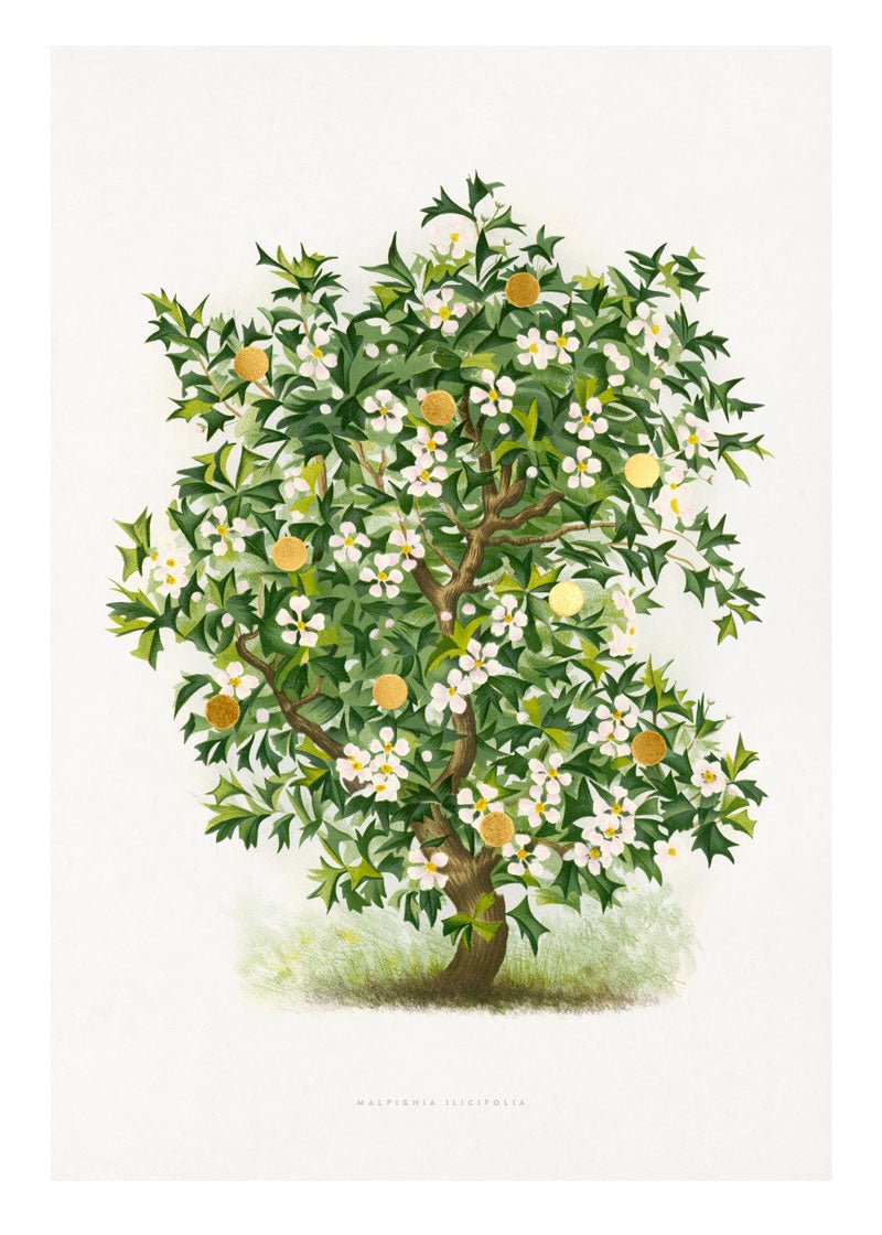 Gold Dots Holly Tree – Kunsttryk med 24K bladguld, monteret på olieret eg-posterhanger med messingbeslag