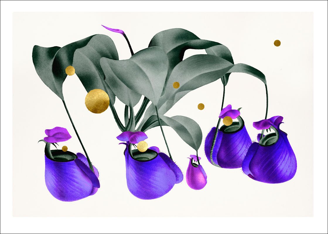 Gold Dots Purple Nepenthes – Giclée-print på Fabriano-papir, håndforædlet med 24K bladguld og lilla detaljer.