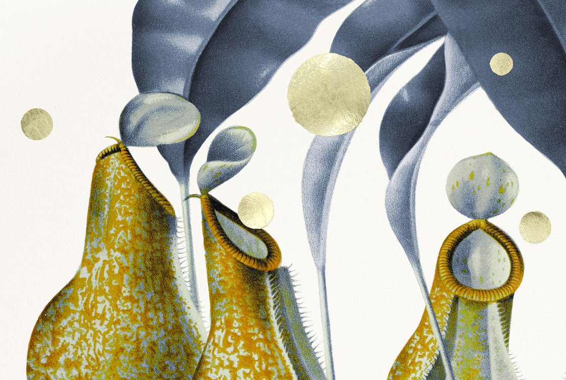 Gold Green Dots Nepenthes – Giclée-print på Fabriano-papir, håndforædlet med 24K bladguld og grønne detaljer.