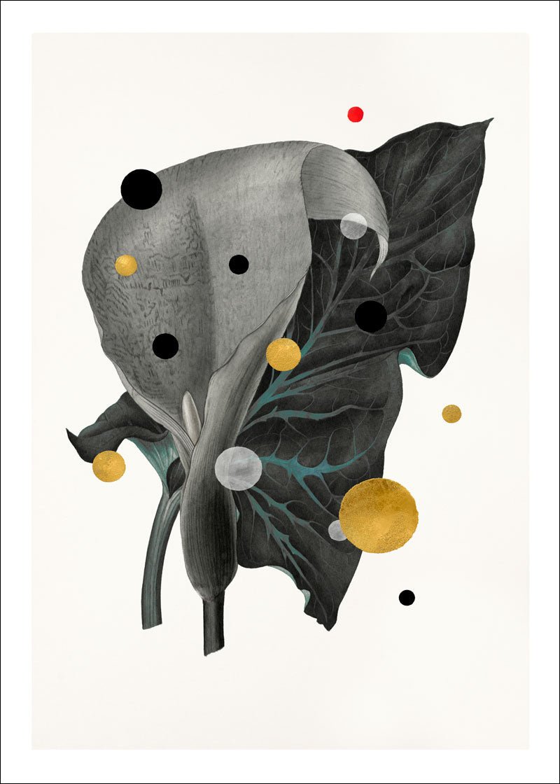 Arum Italicum Paper – Giclée-print på 250 g Fabriano-papir med håndlagte detaljer.
