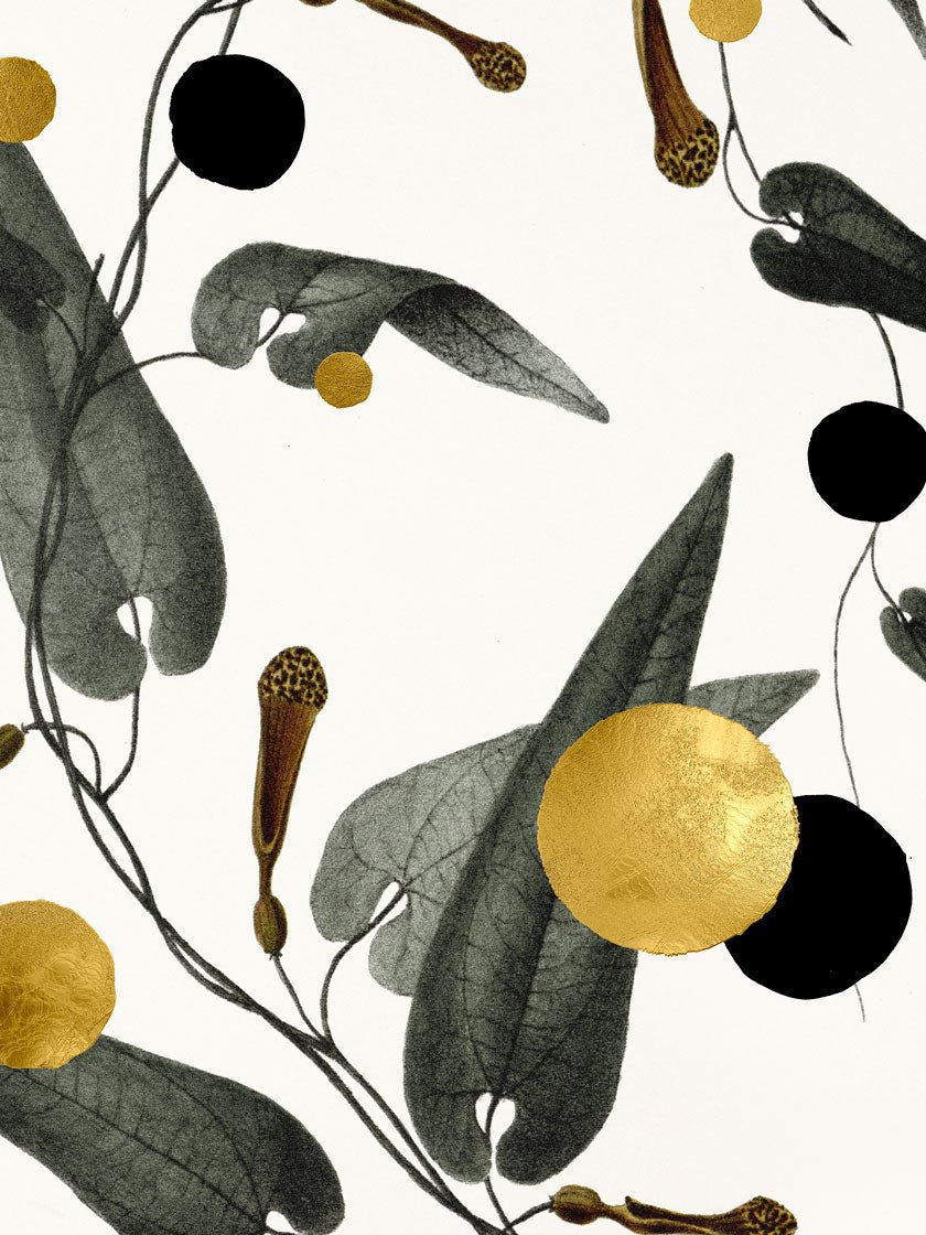 Gold & Superblack Dots Rumicifolia kunsttryk på Fabriano papir med 24k bladguld og ultramat Superblack