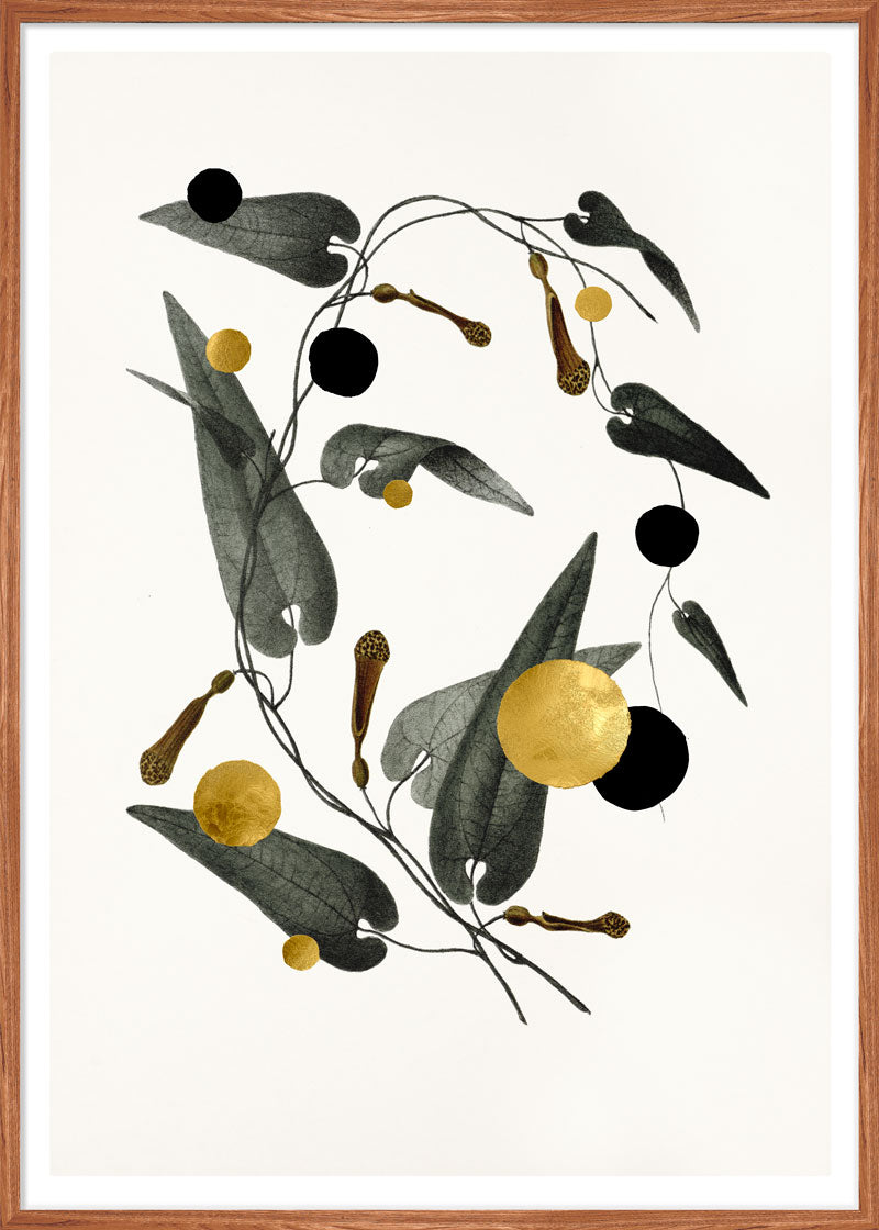Gold and Superblack Dots Rumicifolia paper