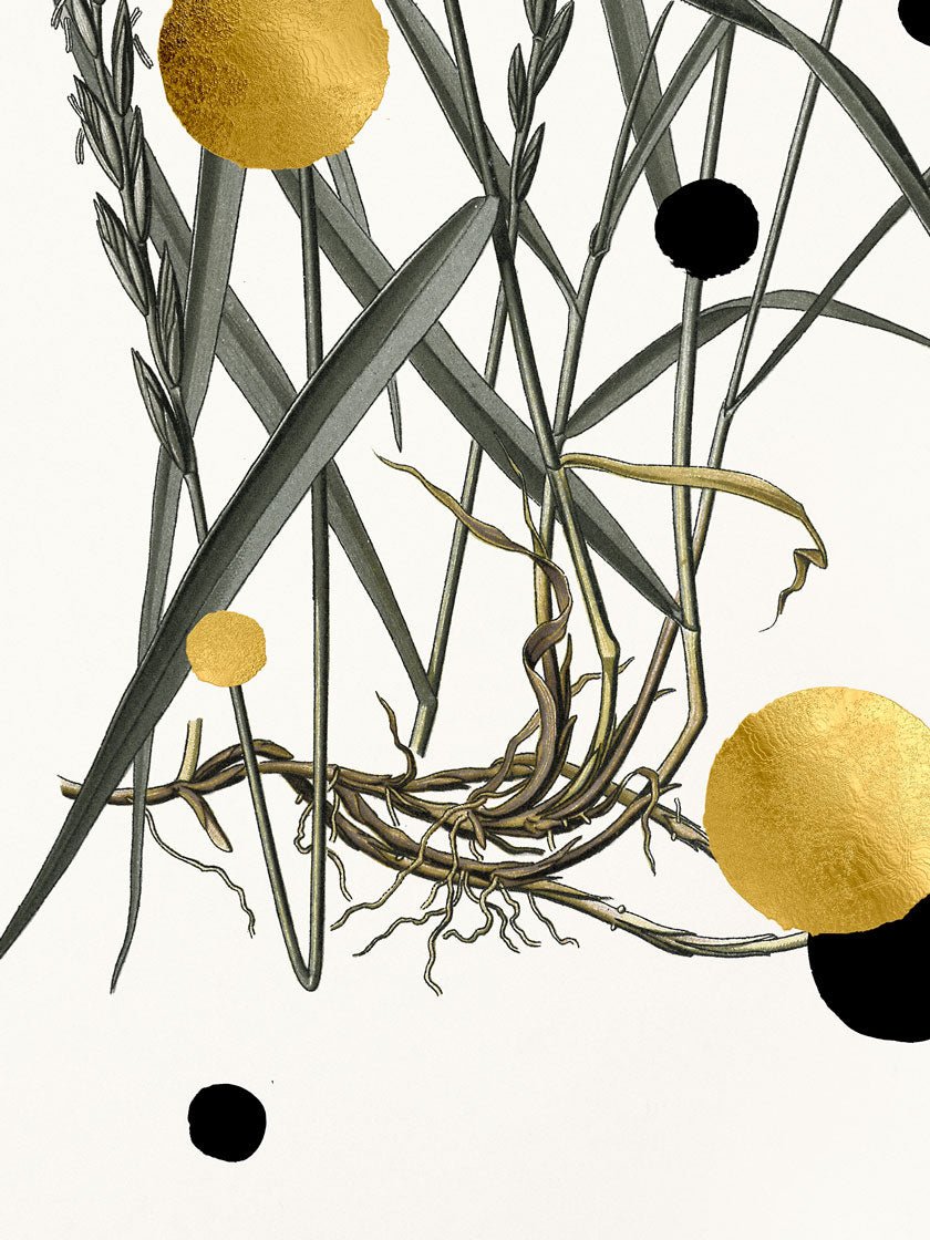 Gold and Superblack Dots Couch Grass – Giclée-print på Fabriano-papir, håndforædlet med 24K bladguld og superblack.