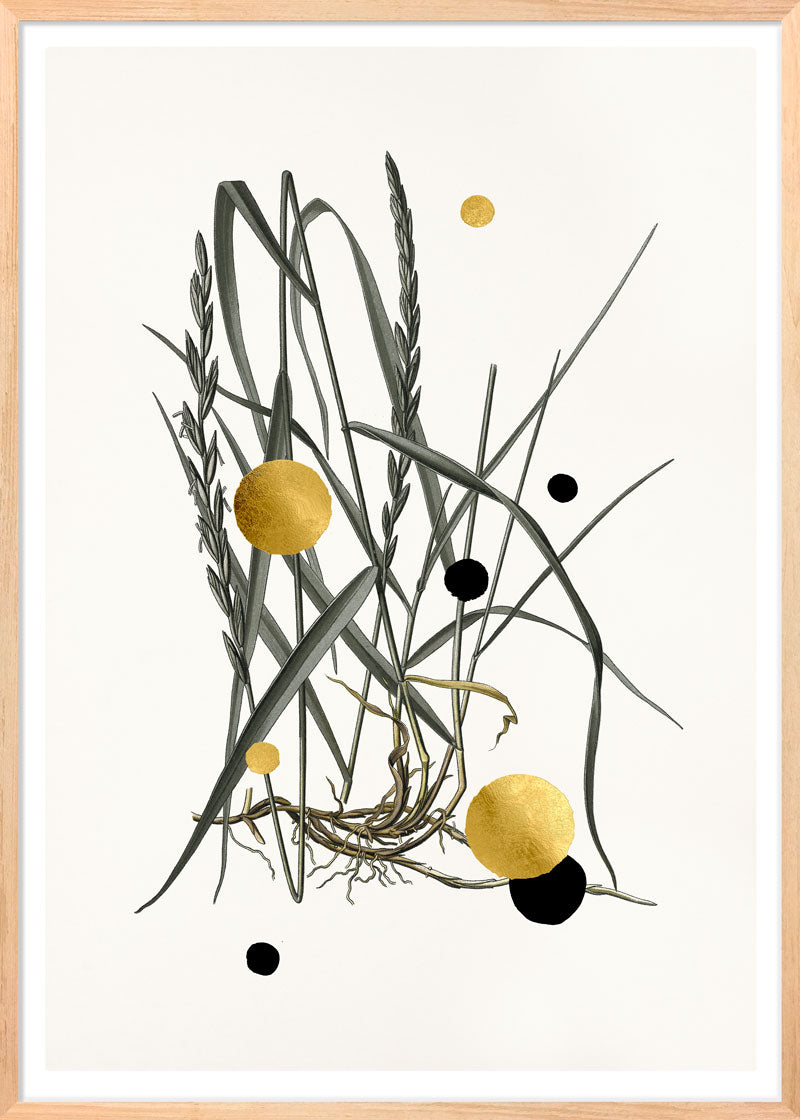 Gold and Superblack Dots Couch Grass Paper
