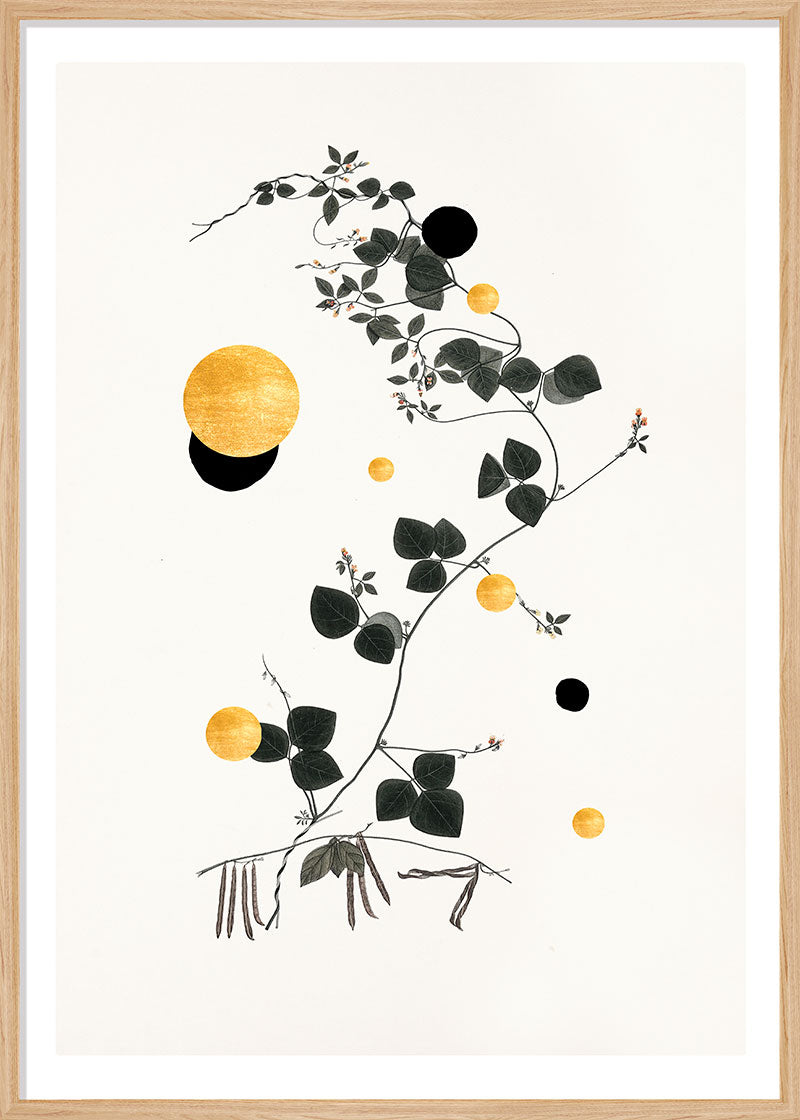 Gold and Superblack Dots Trigonella paper