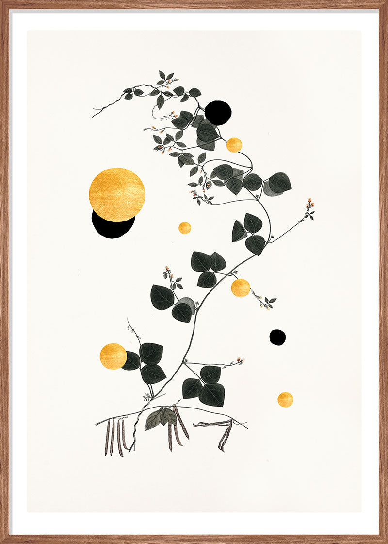 Gold and Superblack Dots Trigonella paper