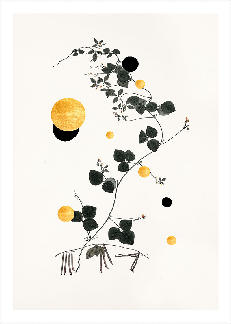 Gold and Superblack Dots Trigonella paper