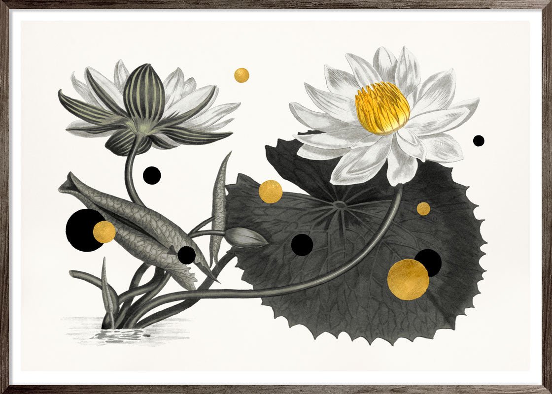 Nymphaea Lotus – Eksklusivt giclée-print på Fabriano-papir med håndforædlede detaljer.