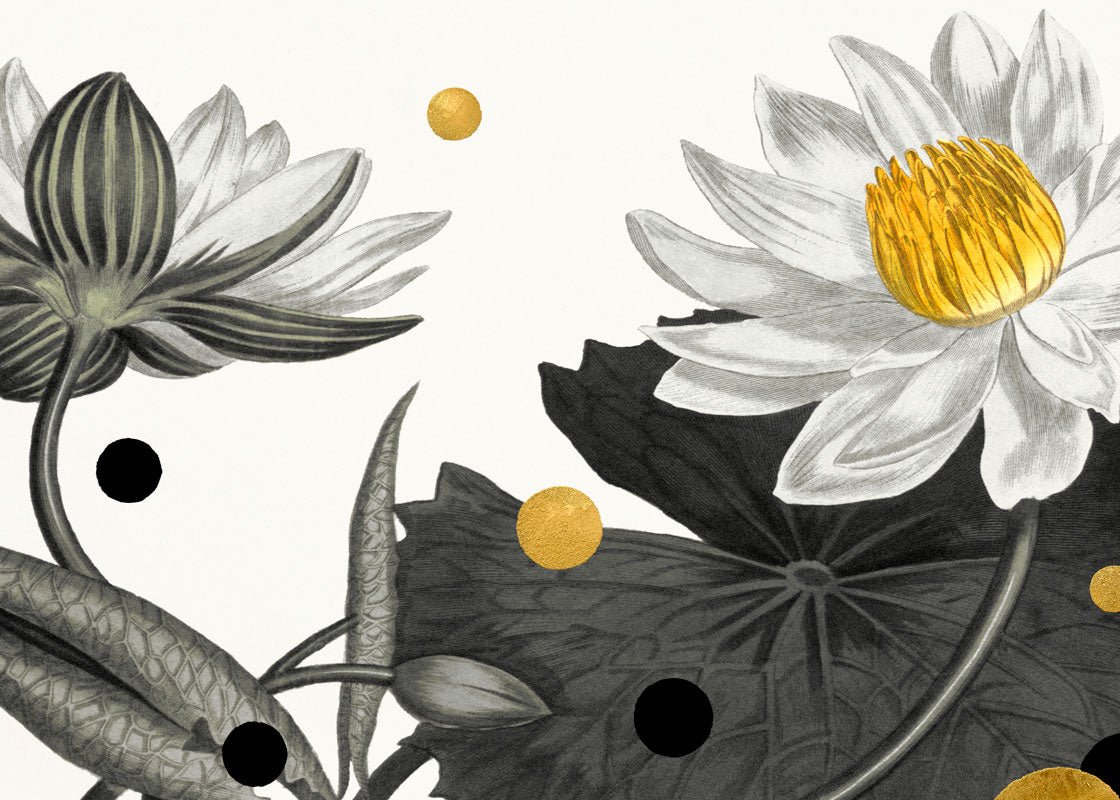 Nymphaea Lotus – Eksklusivt giclée-print på Fabriano-papir med håndforædlede detaljer.