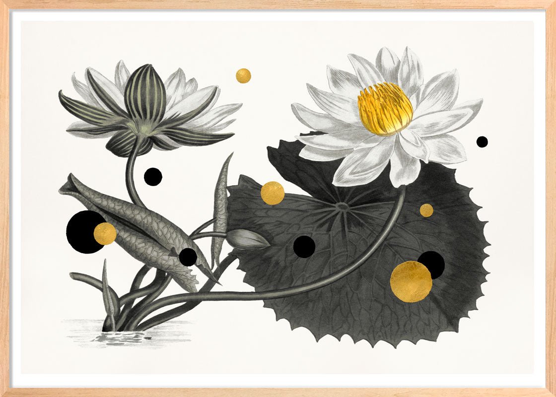 Nymphaea Lotus – Eksklusivt giclée-print på Fabriano-papir med håndforædlede detaljer.