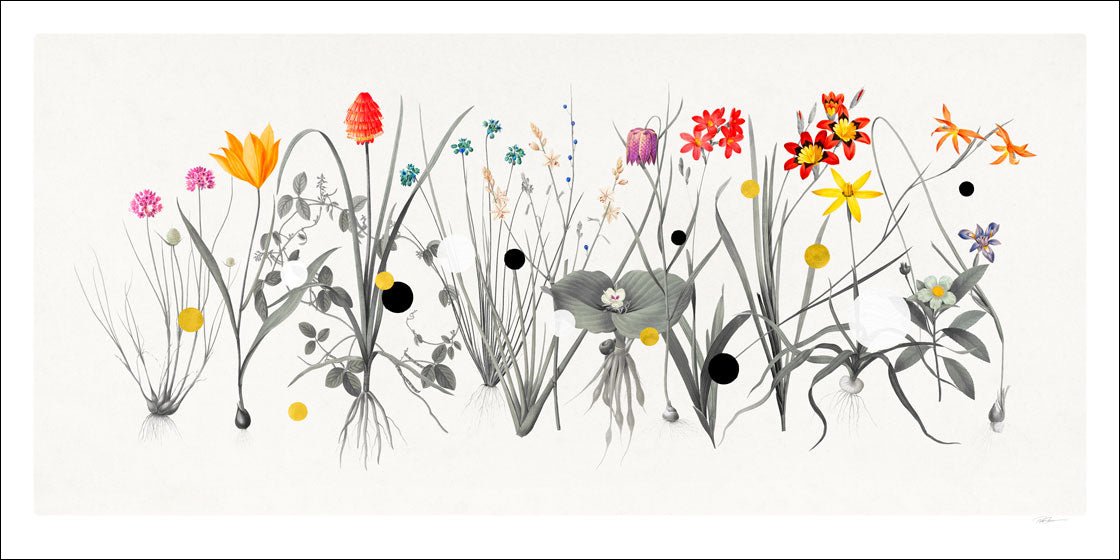 Hesperides Field Paper – Giclée-print på 250 g Fabriano-papir med håndlagte detaljer i 24K bladguld