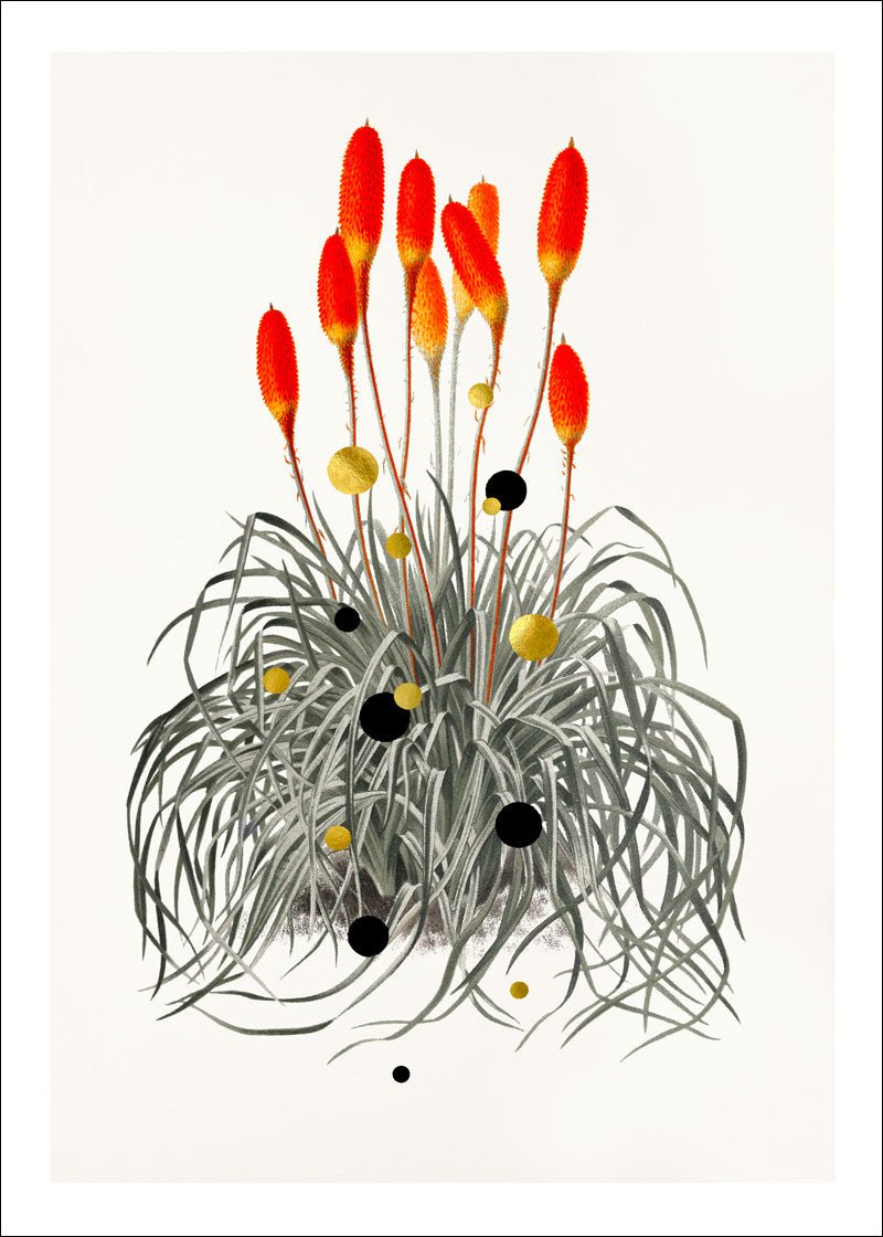 Tritoma Liftoff Paper – Giclée-print på Fabriano-papir med håndlagte detaljer.