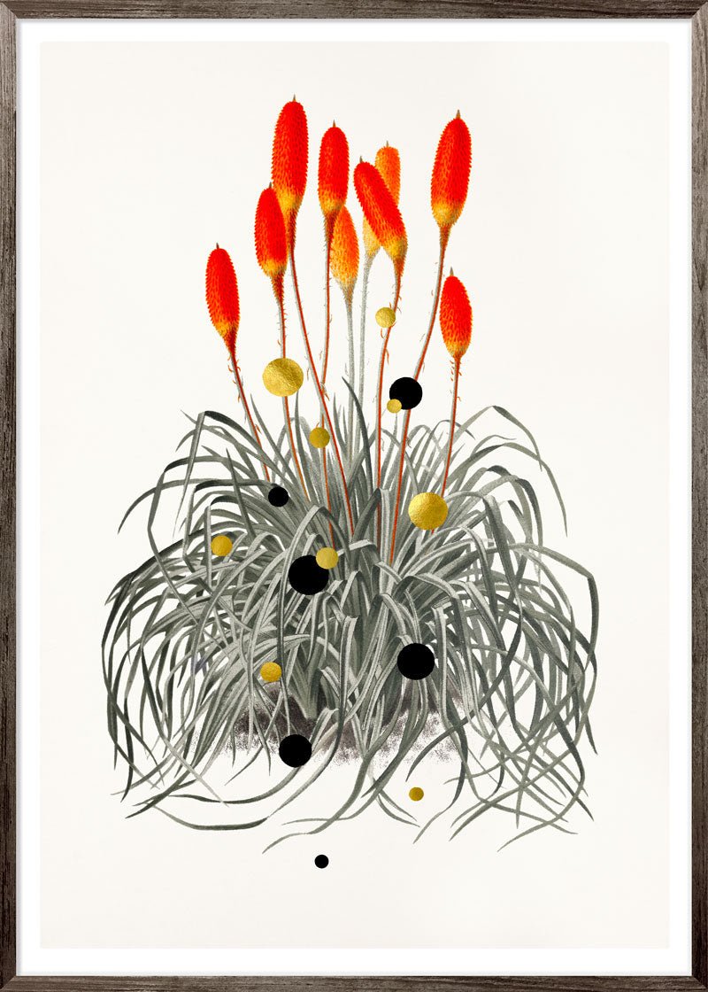 Tritoma Liftoff Paper – Giclée-print på Fabriano-papir med håndlagte detaljer.