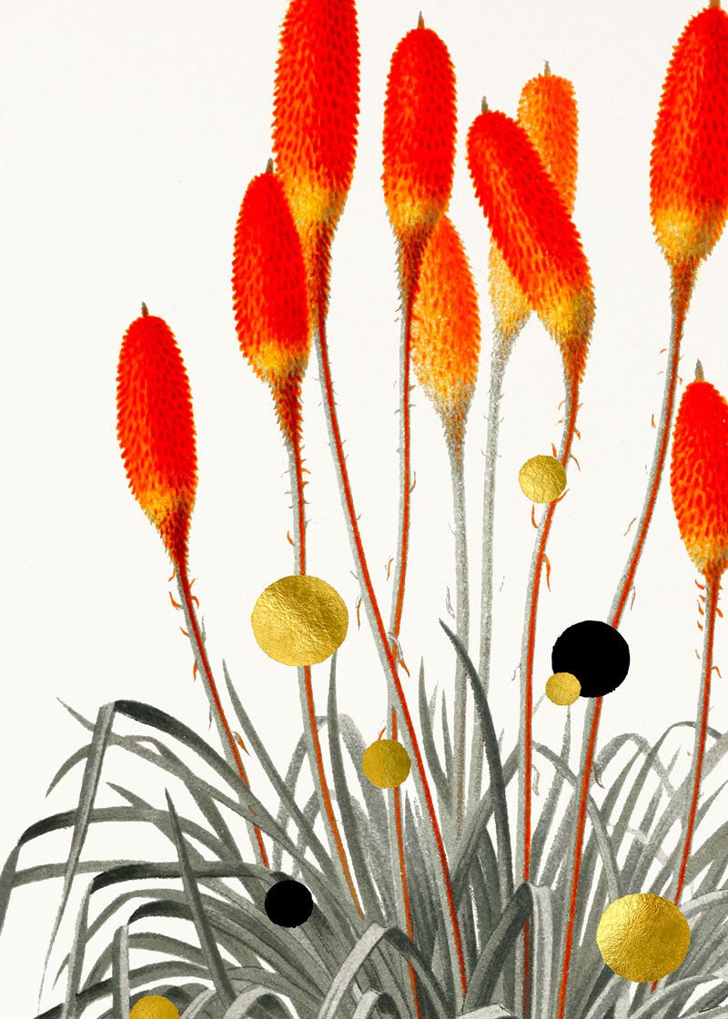 Tritoma Liftoff Paper – Giclée-print på Fabriano-papir med håndlagte detaljer.