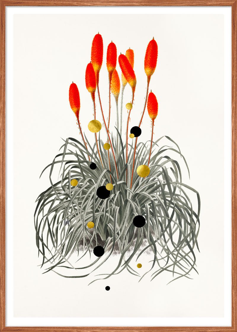 Tritoma Liftoff Paper – Giclée-print på Fabriano-papir med håndlagte detaljer.