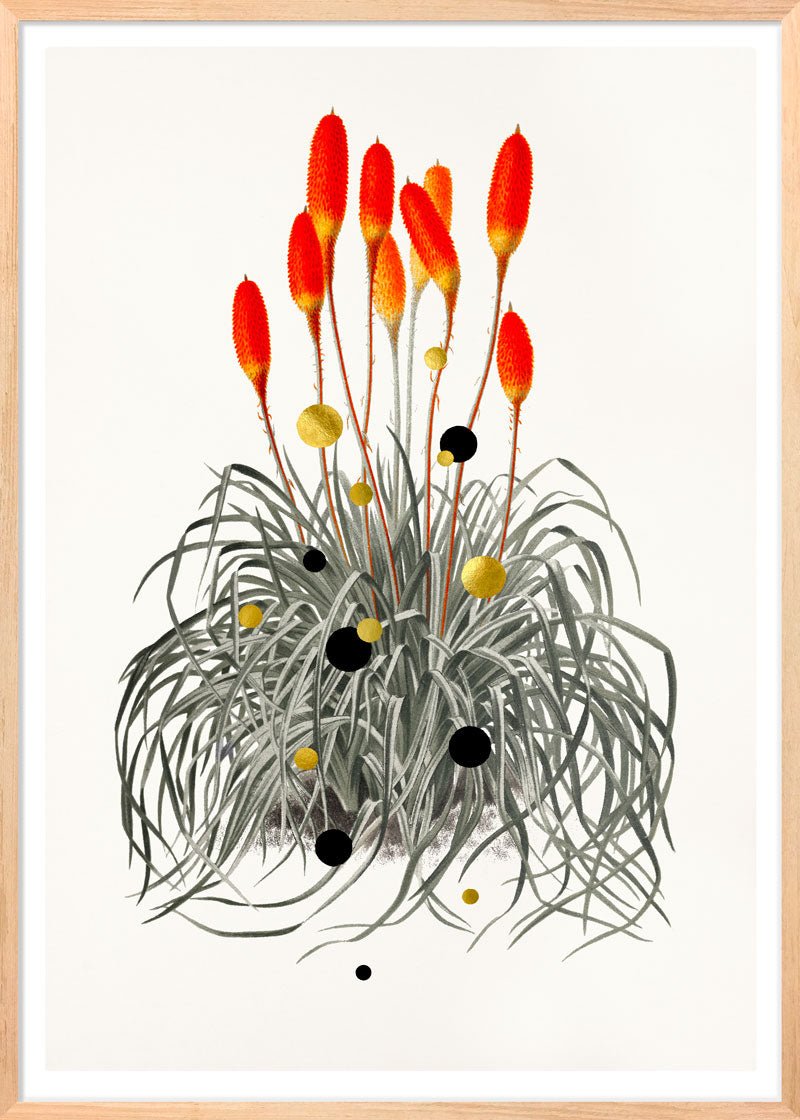 Tritoma Liftoff Paper – Giclée-print på Fabriano-papir med håndlagte detaljer.