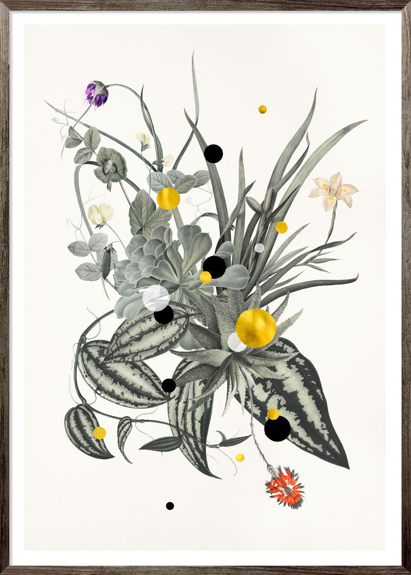 Bouquet Hespera Paper