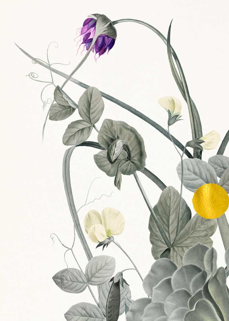 Bouquet Hespera Paper – Eksklusivt giclée-print på Fabriano-papir med håndforædlede detaljer