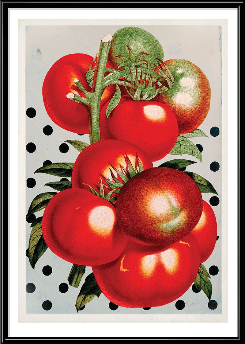 Juicy Tomato Polka Dots