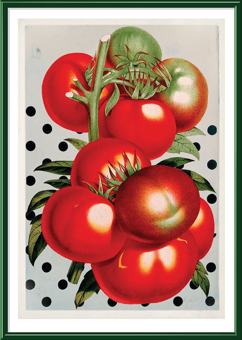 Juicy Tomato Polka Dots