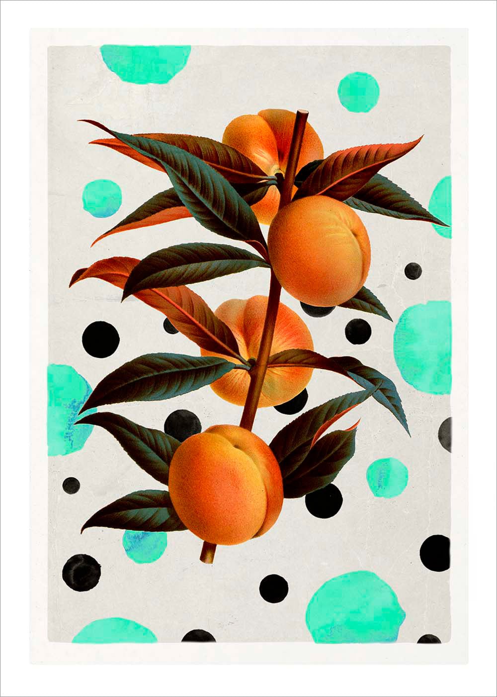 Peach and Dots