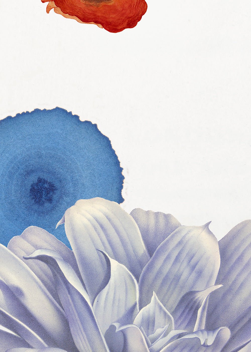 Tsubo-Niwa 2