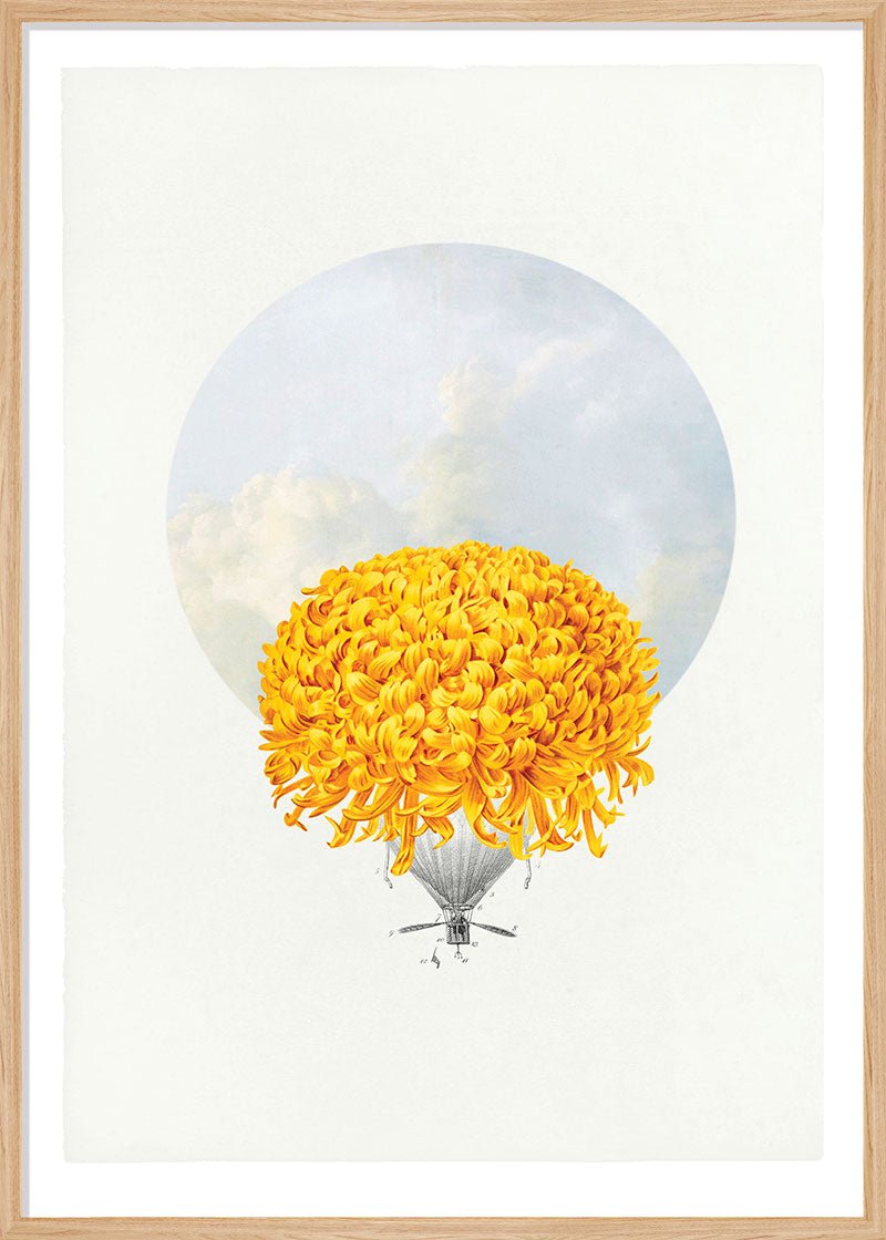 Balloon Bloom 1