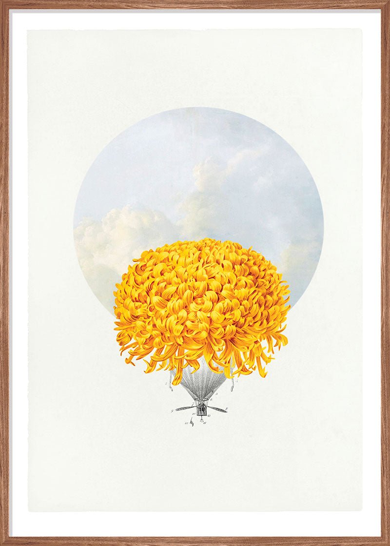 Balloon Bloom 1