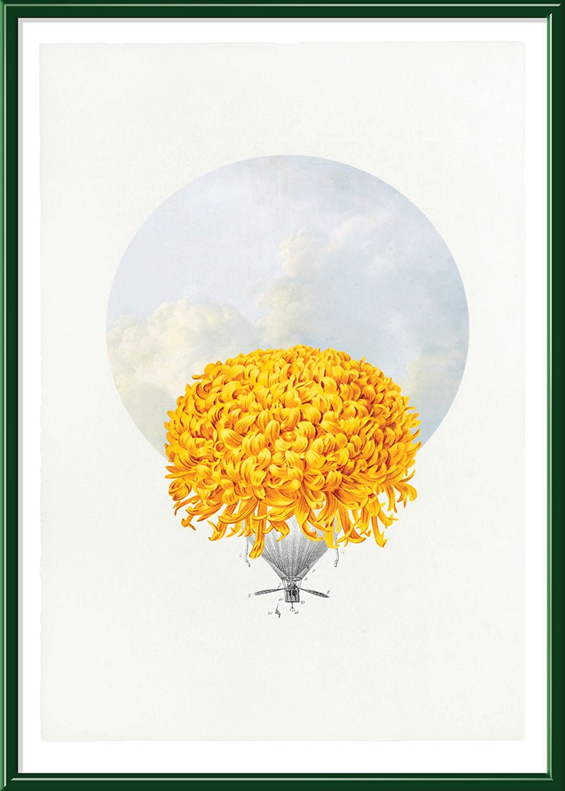 Balloon Bloom 1