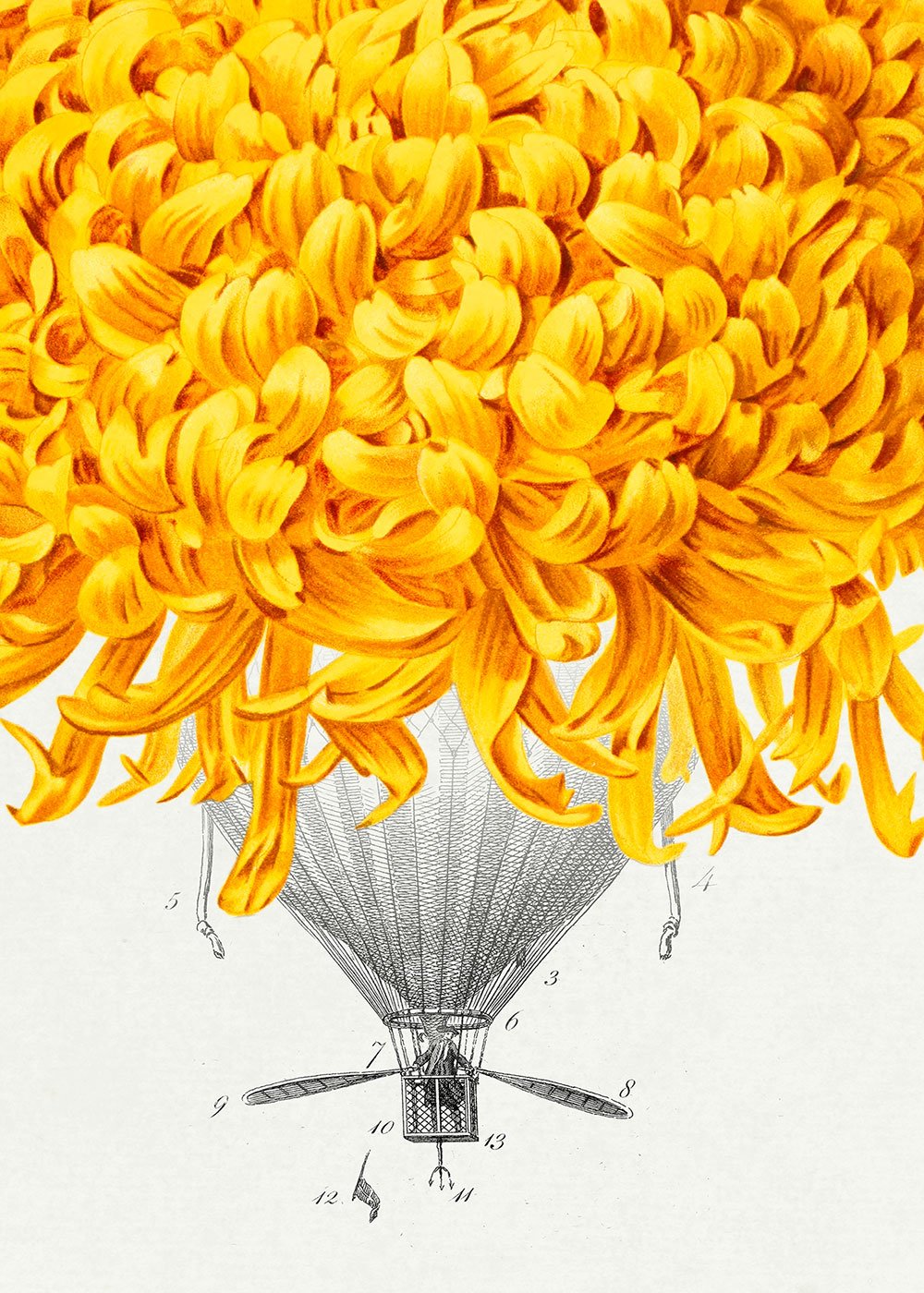 Balloon Bloom 1