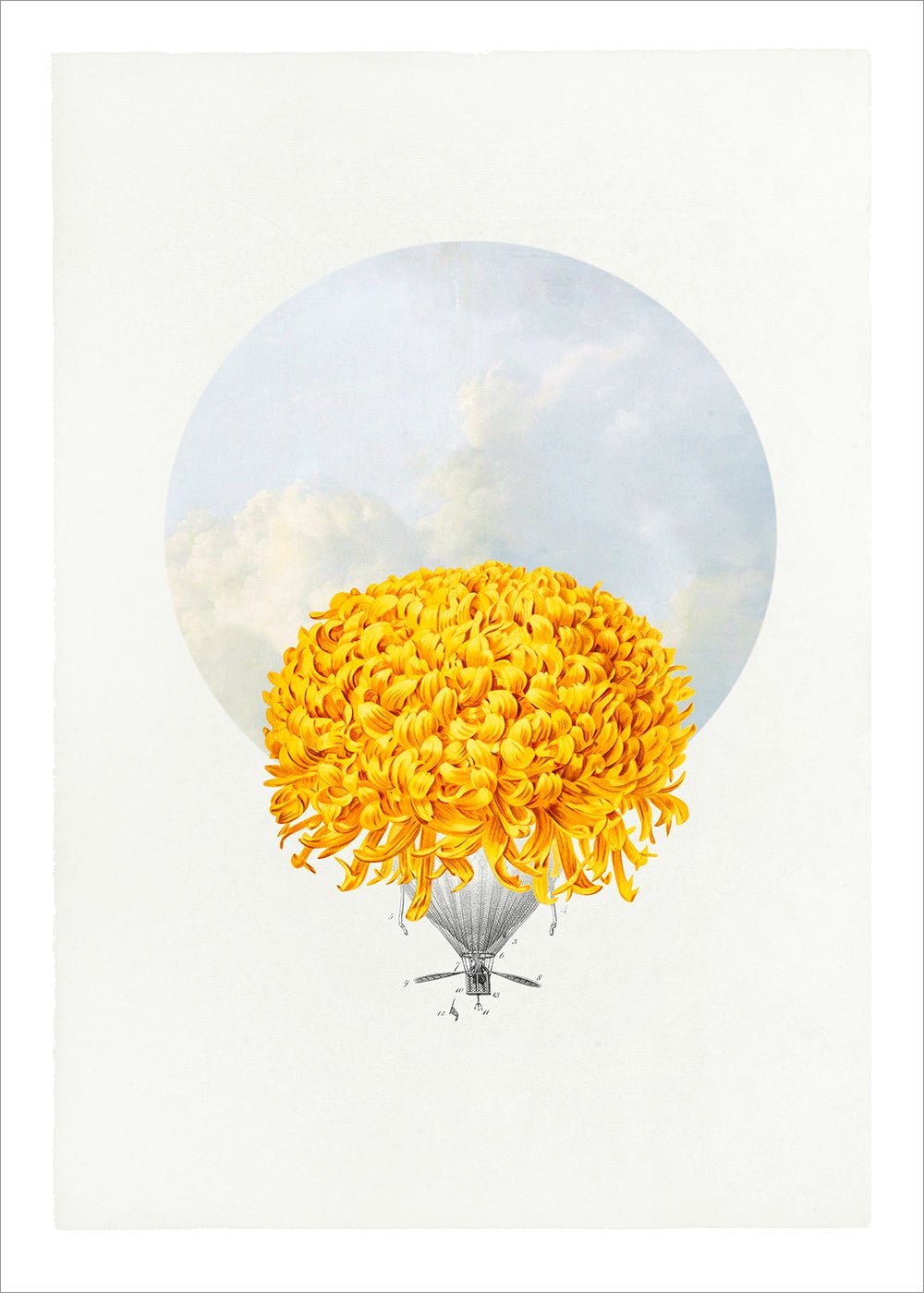 Balloon Bloom 1