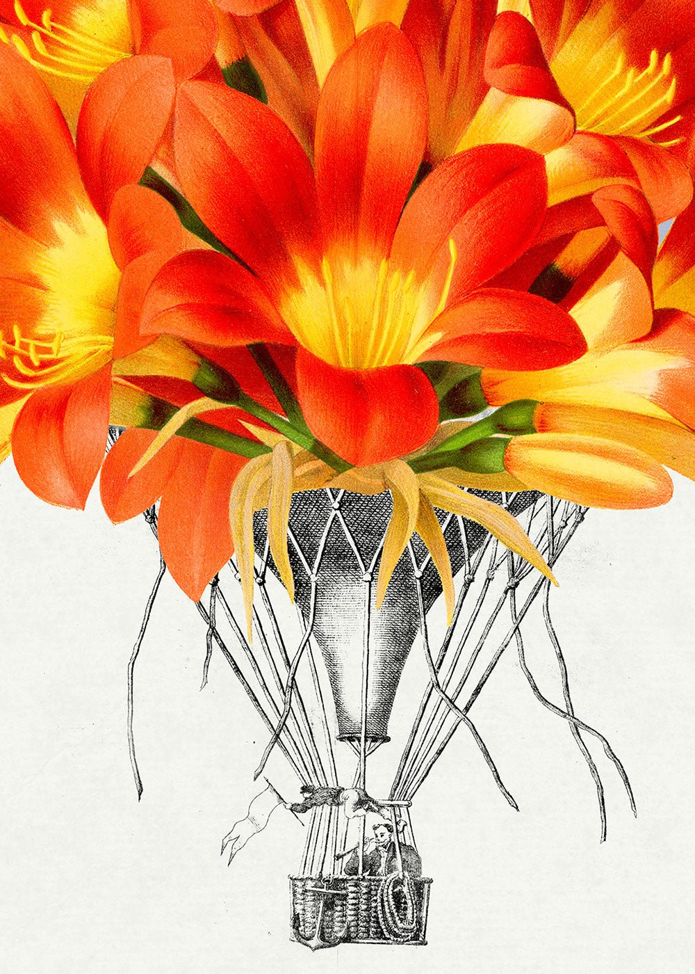 Balloon Bloom 2