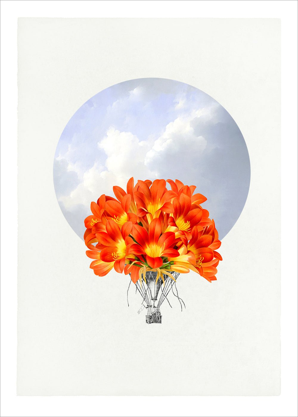 Balloon Bloom 2