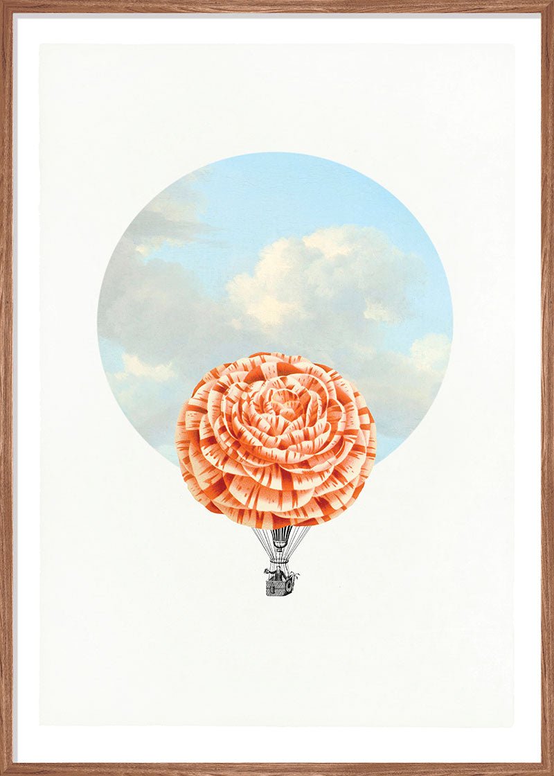 Balloon Bloom 4