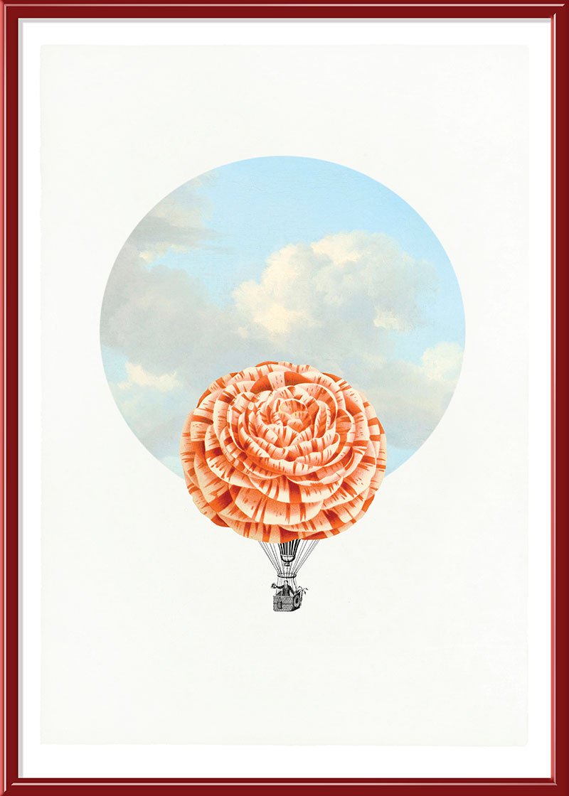Balloon Bloom 4