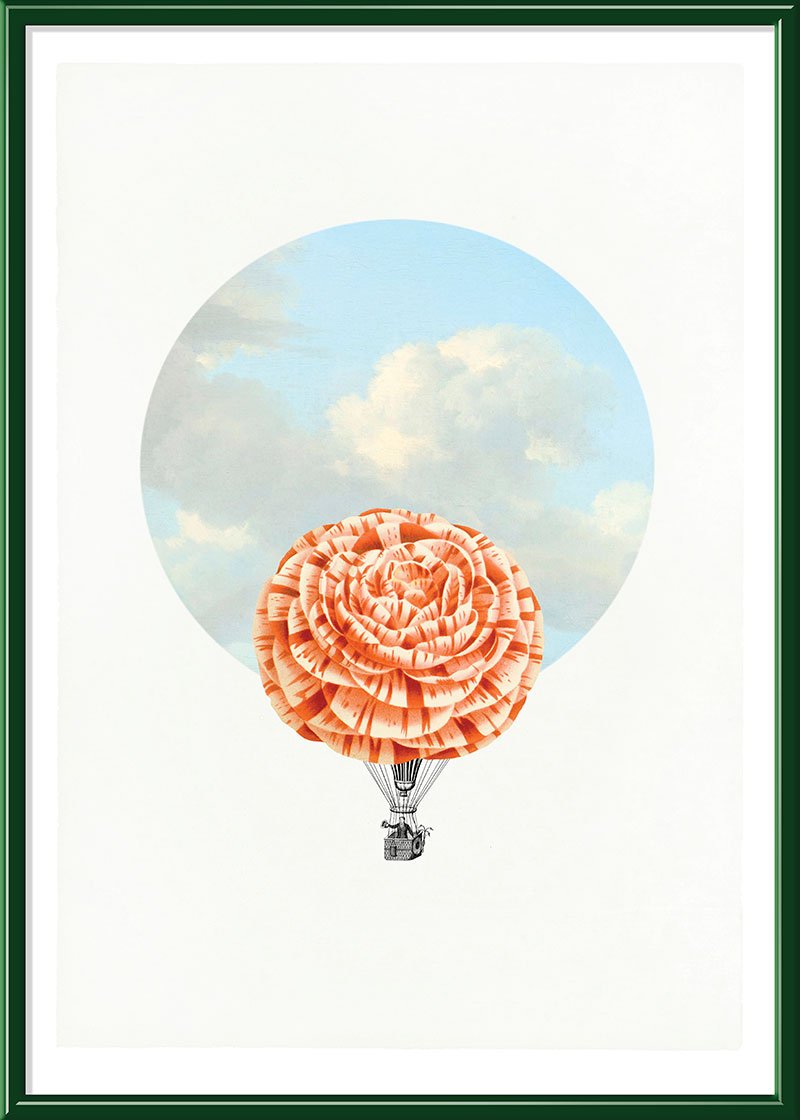 Balloon Bloom 4