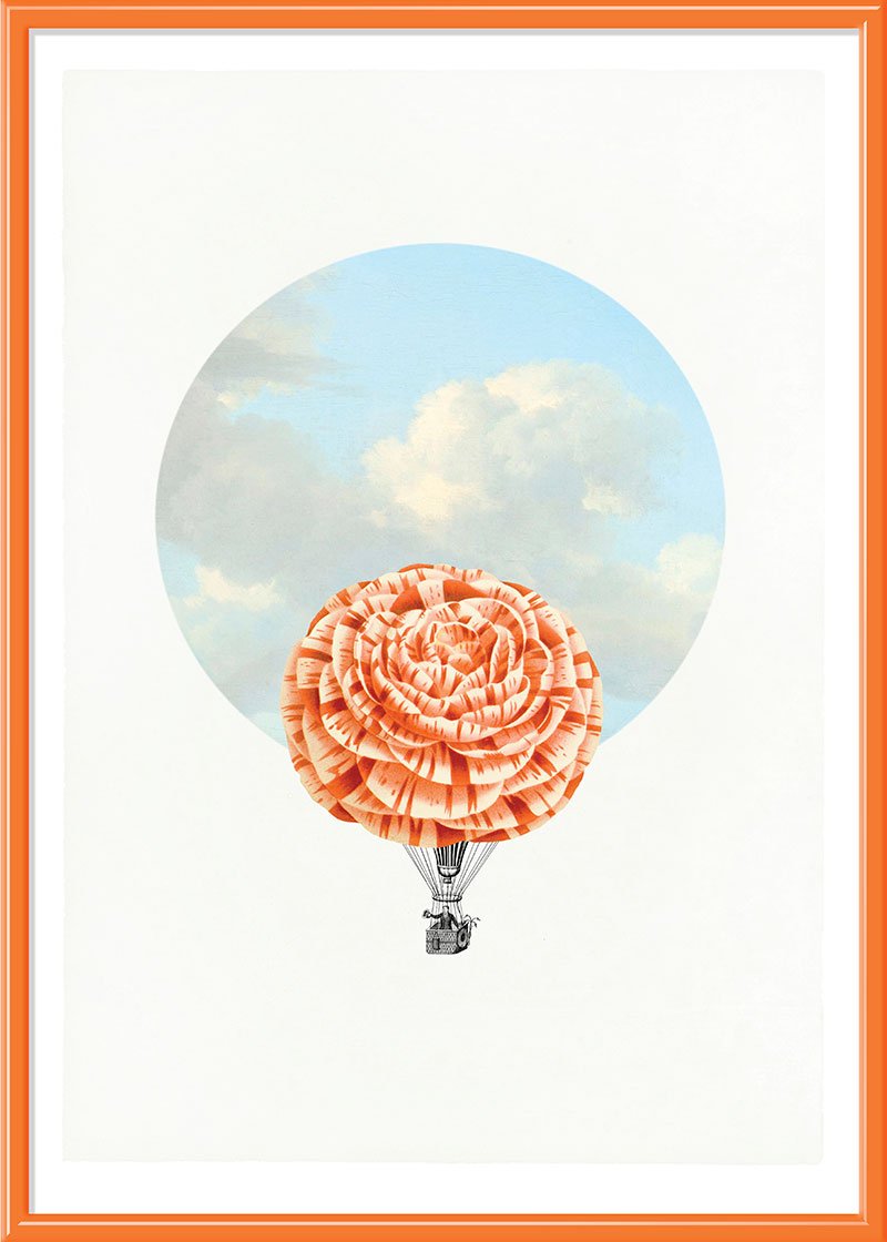 Balloon Bloom 4