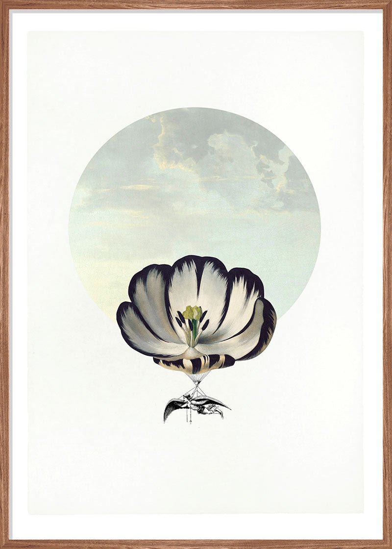 Balloon Bloom 5