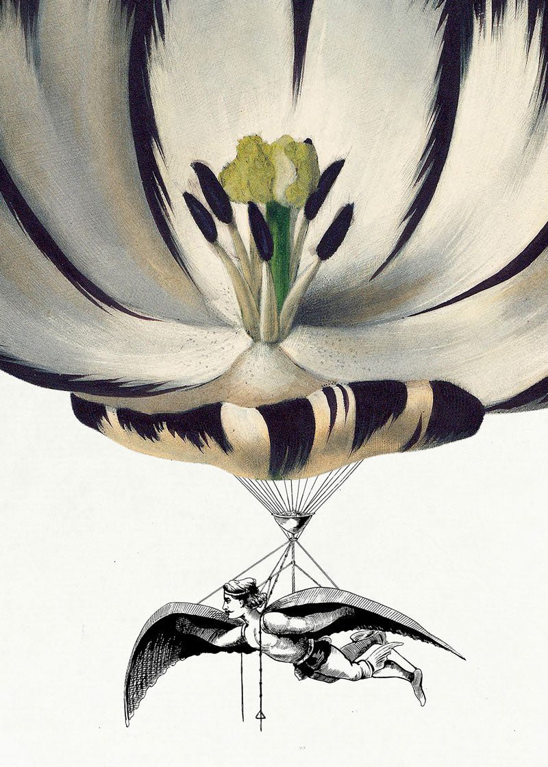 Balloon Bloom 5