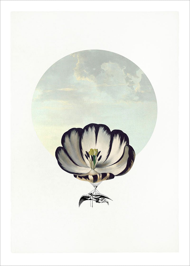 Balloon Bloom 5