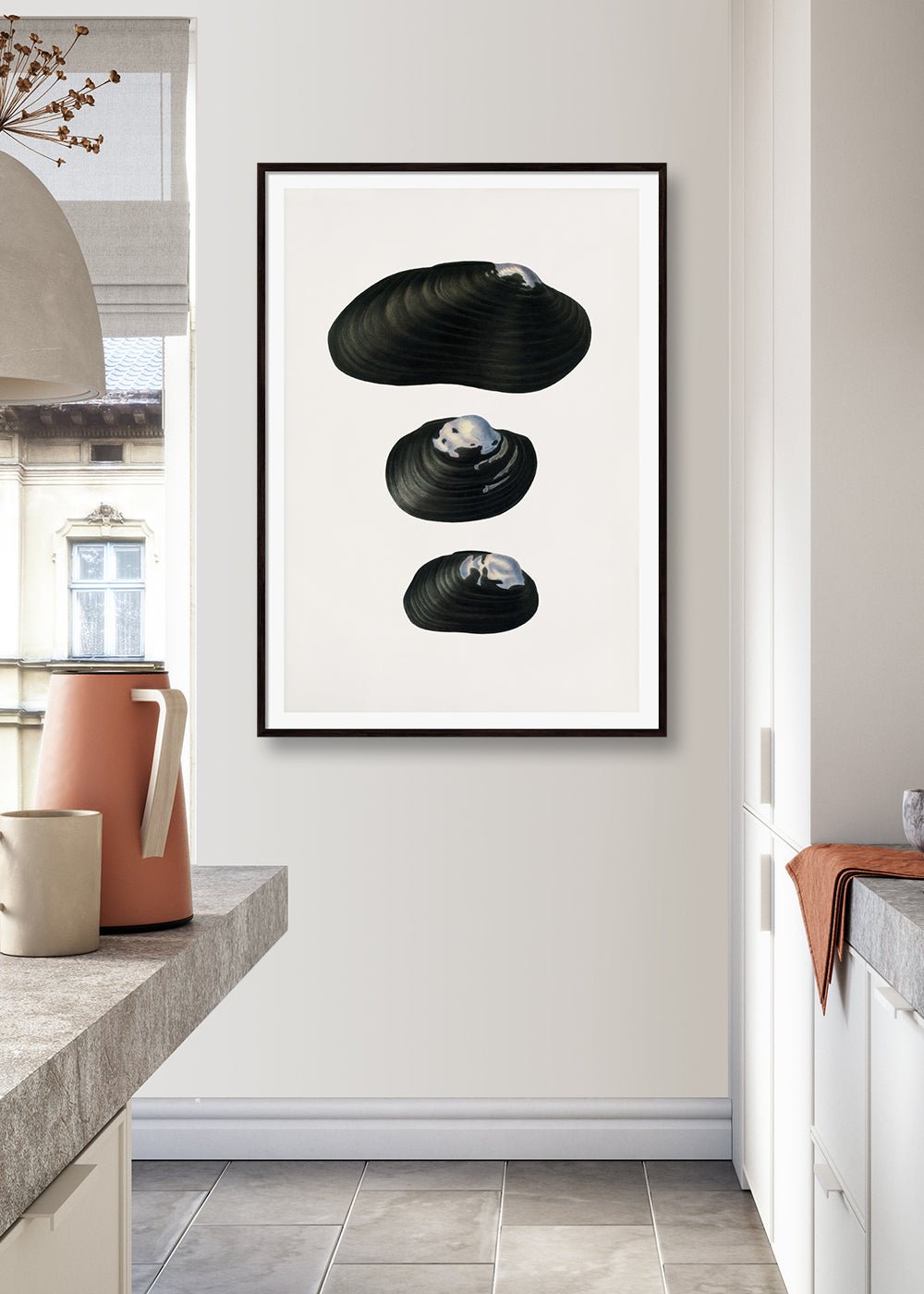 Freshwater Mussel