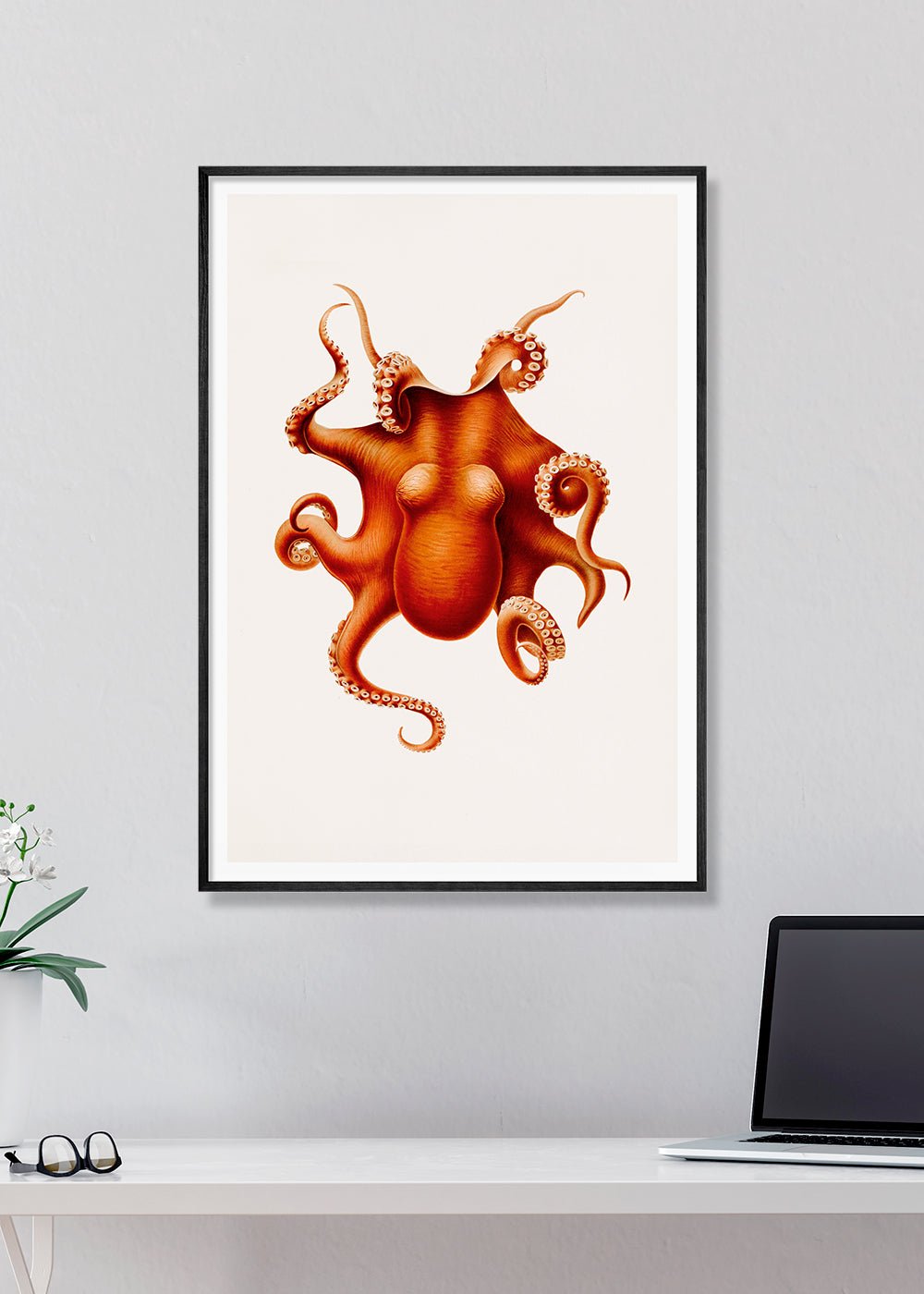 Orange Octopus