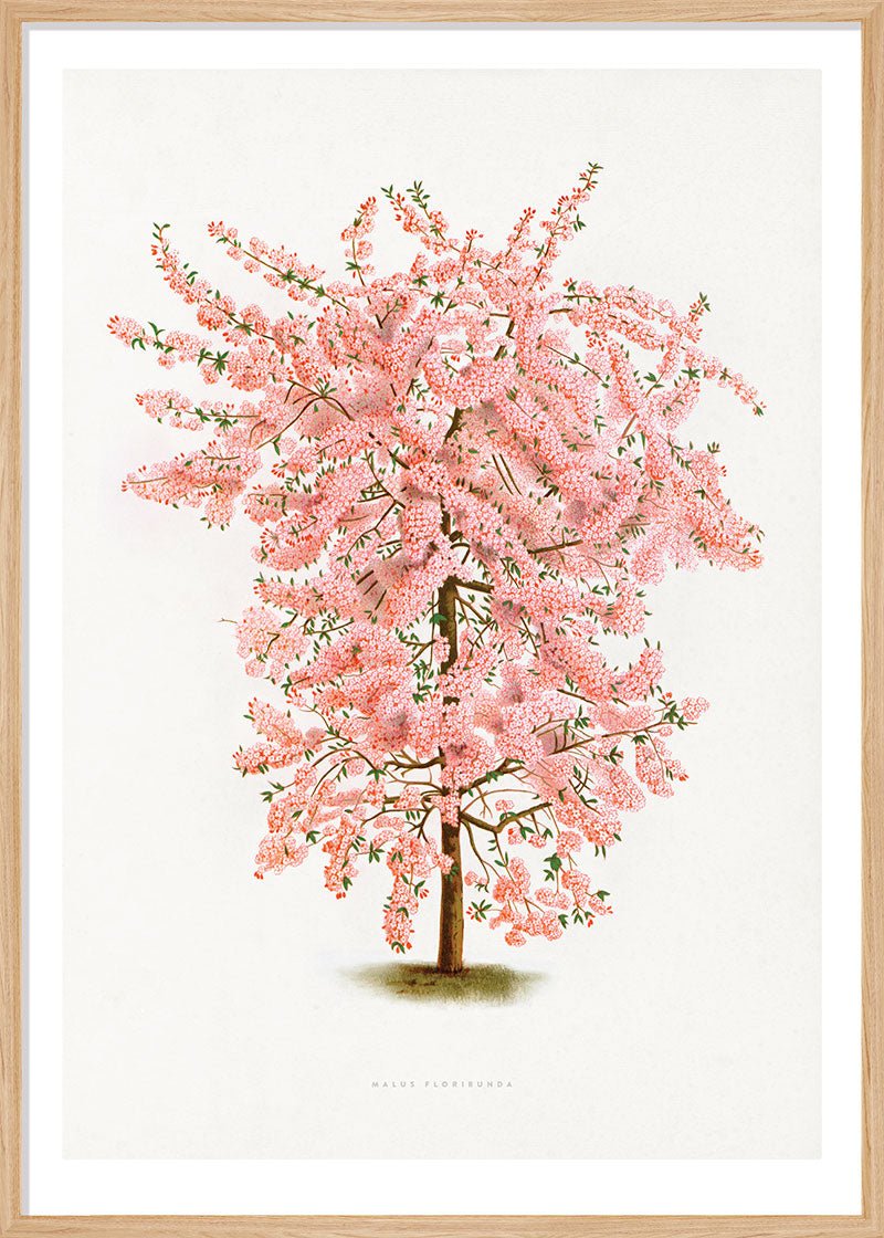 Pink Tree