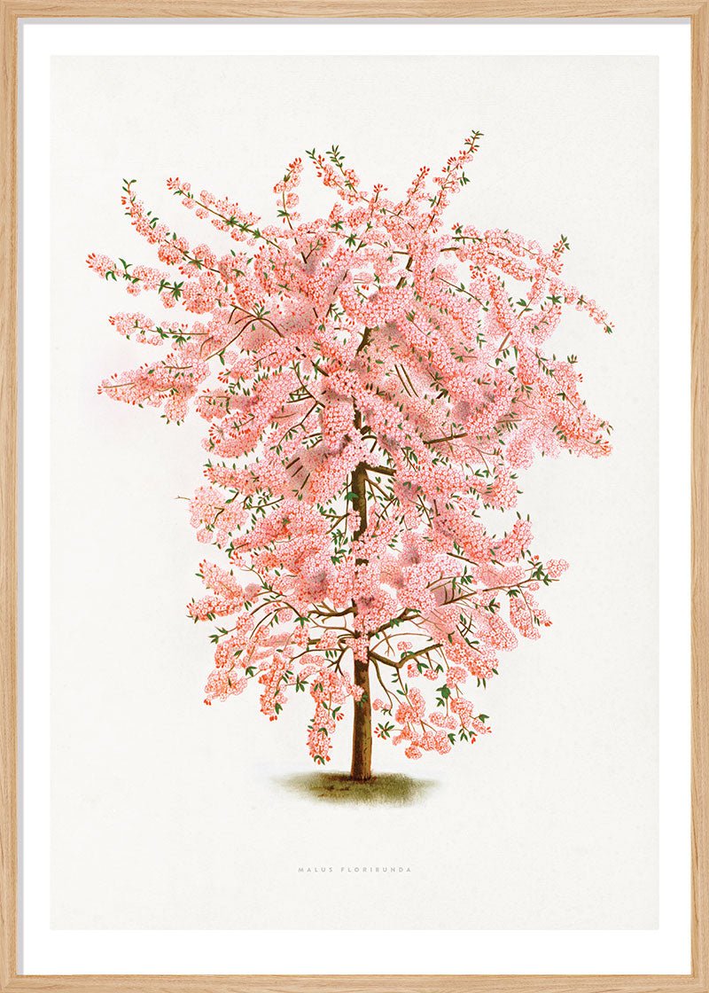 Pink Tree