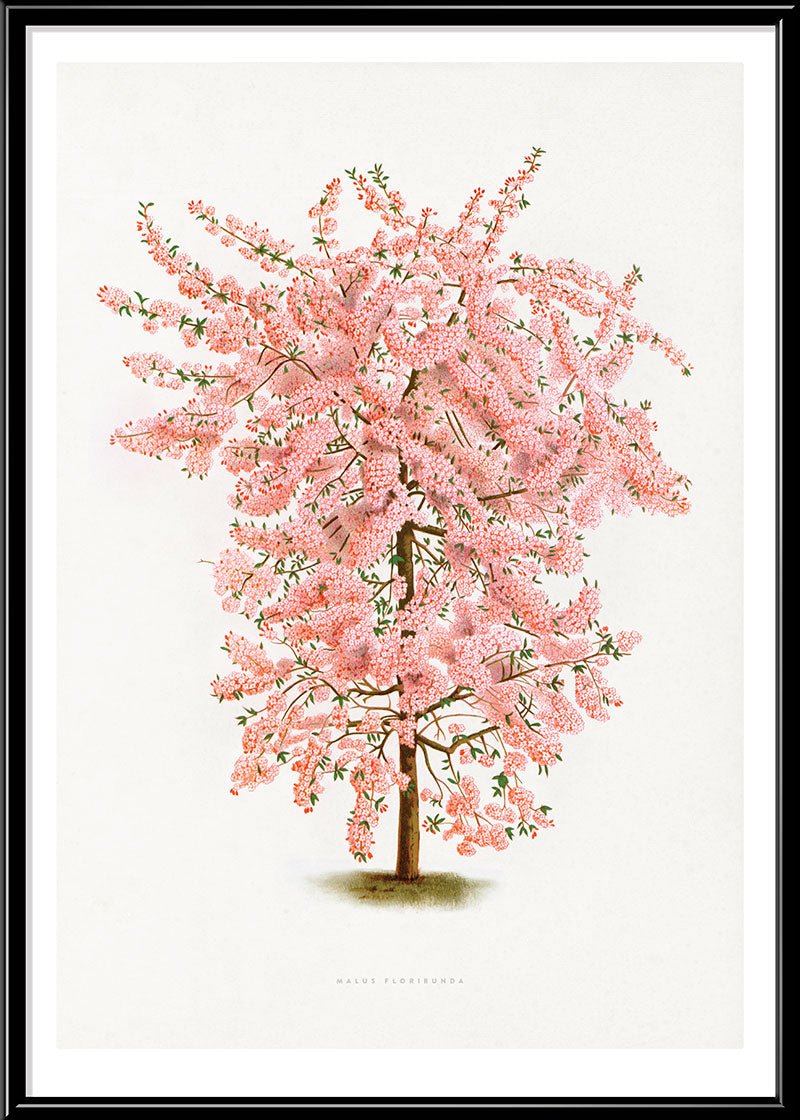 Pink Tree